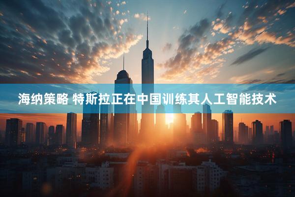 海纳策略 特斯拉正在中国训练其人工智能技术